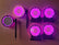 Glow Pegs for Jeeps (Driver & Passenger)